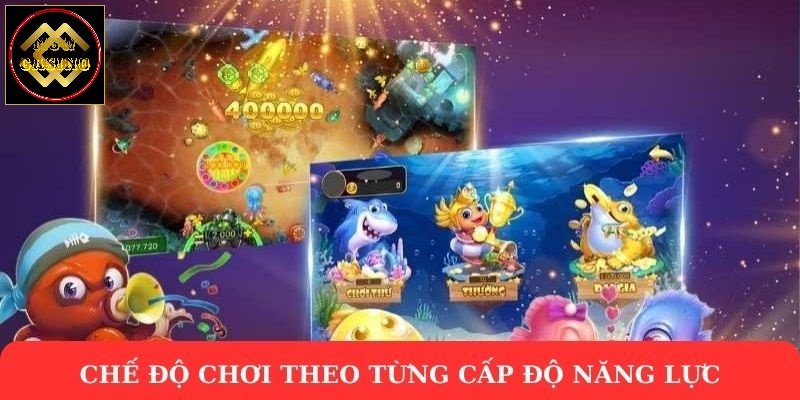 Chế độ chơi theo từng cấp độ năng lực