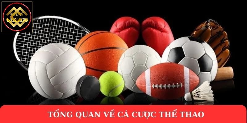 Tổng quan về cá cược thể thao