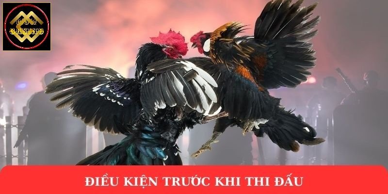 Điều kiện trước khi thi đấu