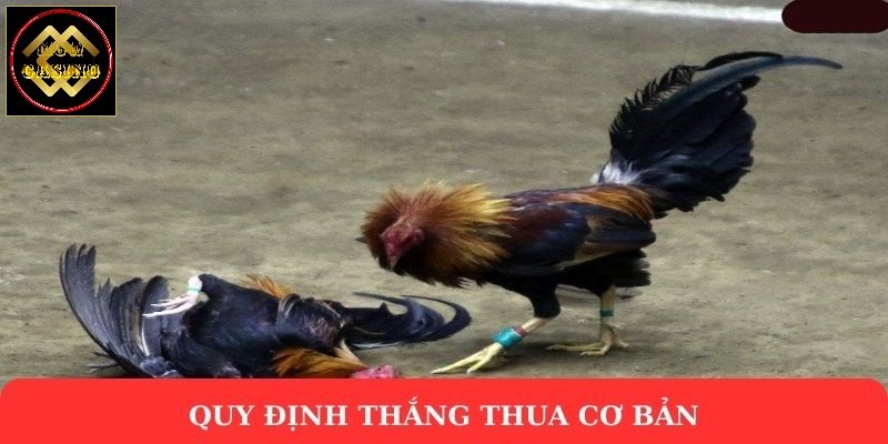 Quy định thắng thua cơ bản