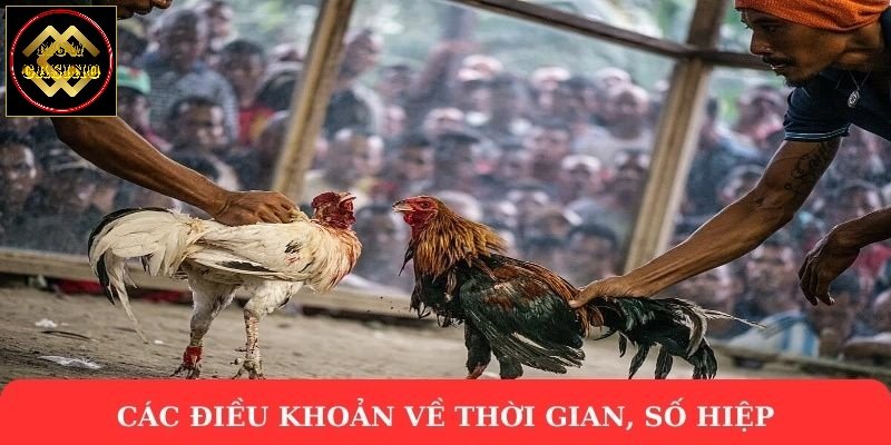 Các điều khoản về thời gian, số hiệp