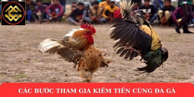 Các bước tham gia kiếm tiền cùng đá gà