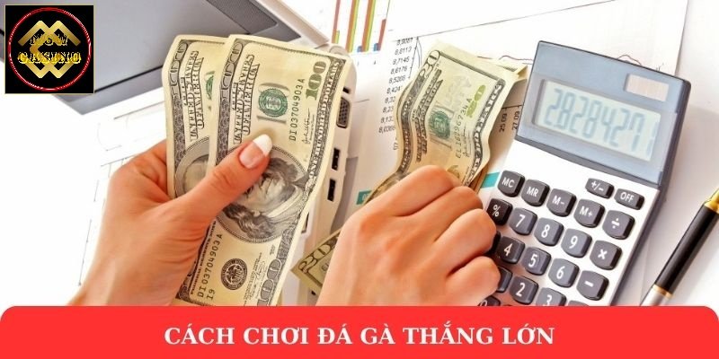 Cách chơi đá gà thắng lớn