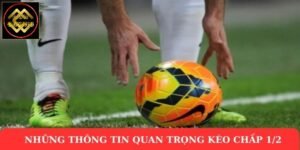 Những thông tin quan trọng kèo chấp 1/2 