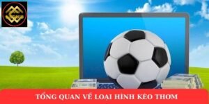 Tổng quan về loại hình kèo thơm 